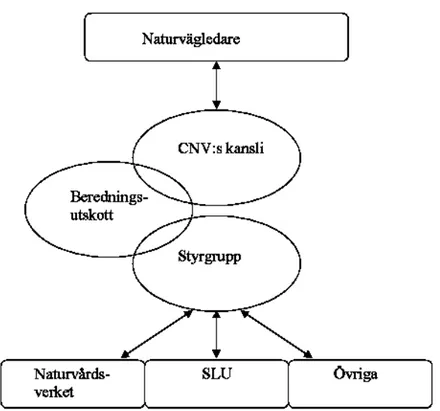 Figur 2. Delar i det inre och yttre kontaktnätet runt CNV. 