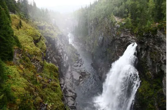 Figur 3. Hällingsåfallet med dess forsdimma är en lämplig lokal för hårig skrovellav. Frostvikens  församling, Jämtlands län.