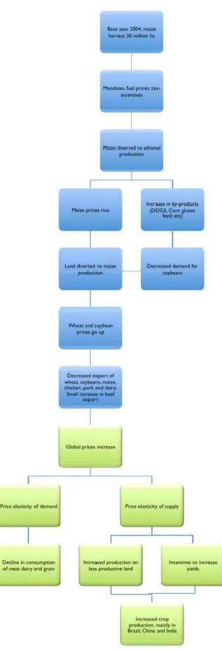 Figure 3.10: The main steps taken in Searchinger's model. The blue boxes symbolize national  dynamics (under direct influence by the US), whereas the green boxes symbolize global dynamics  that are only indirectly influenced by US decisions