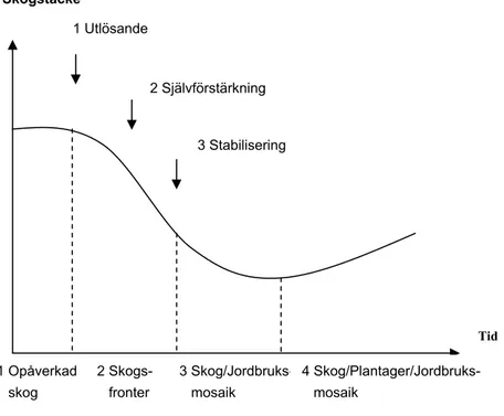 Figur 2.1 Avskogningens olika faser         Skogstäcke  1 Utlösande  Källa: Angelsen (2007)  2 Självförstärkning  3 Stabilisering  Tid   1 Opåverkad      skog 