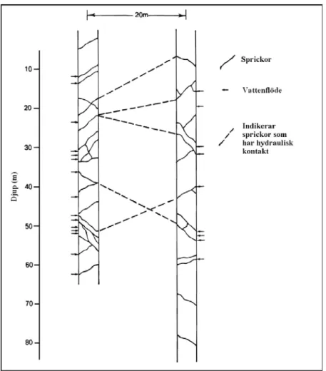 Figur 3-4. Exempel som visar att vissa sprickor ej är vattenförande, att andra bidrar till inflödet i ett  enskilt borrhål, medan bara några få sprickor svarar för flödet mellan borrhålen (efter Lloyd 1999)