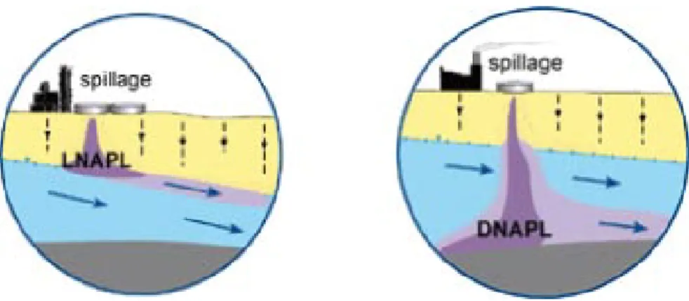 Figur 3-2. En flytande vätska (LNAPL) kan påträffas ovan grundvattenytan, medan en sjunkande  vätska (DNAPL) har en högre densitet än vatten och sjunker genom markprofilen, UNEP (2006)