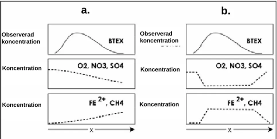 Figur 4.1. ÖNS-mönster vid aerob och anaerob oxidation av BTEX-ämnen när a) nedbrytnings- nedbrytnings-hatigheten är beroende av föroreningskoncentrationen (1:a ordningens kinetik) eller b)  nedbryt-ningshastigheten är beroende av tillgången på elektronacc