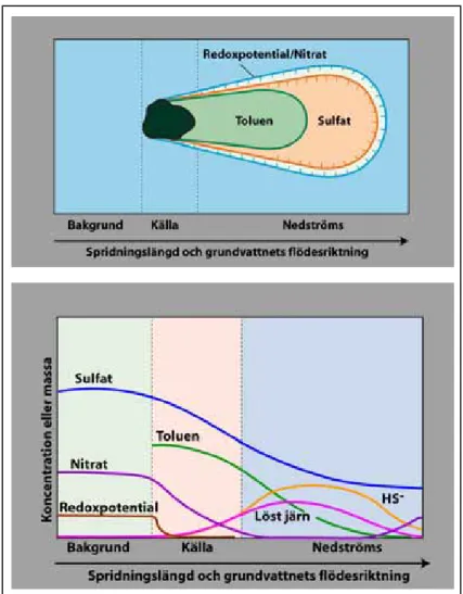 Figur 4.3. ÖNS-mönster som uppstår vid anaerob oxidation av toluen. 