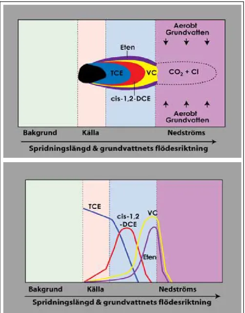 Figur 4.6. ÖNS-mönster vid stegvis reduktiv deklorinering  följt av aerob oxidation. 