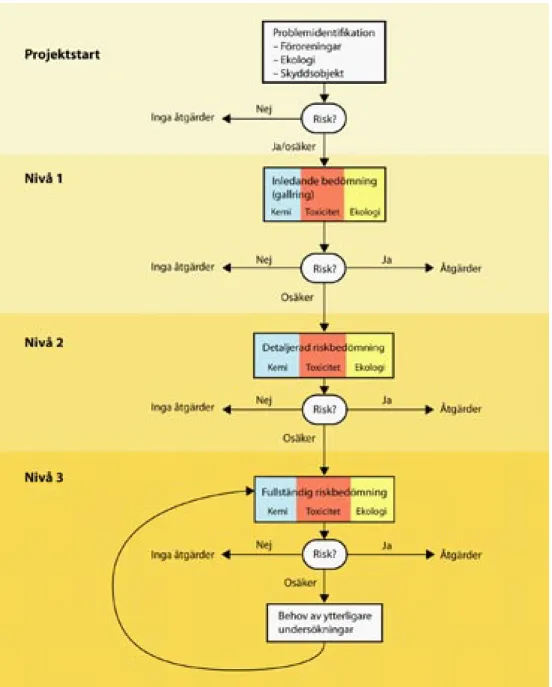 Figur 1.1. Förslag till metodik för miljöriskbedömning från tidigare projekt (Jones et al