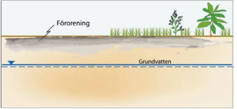 Figur 3.3. Schematisk beskrivning av föroreningssituationen inom upplagsytan (Efter Banverket,  2007).