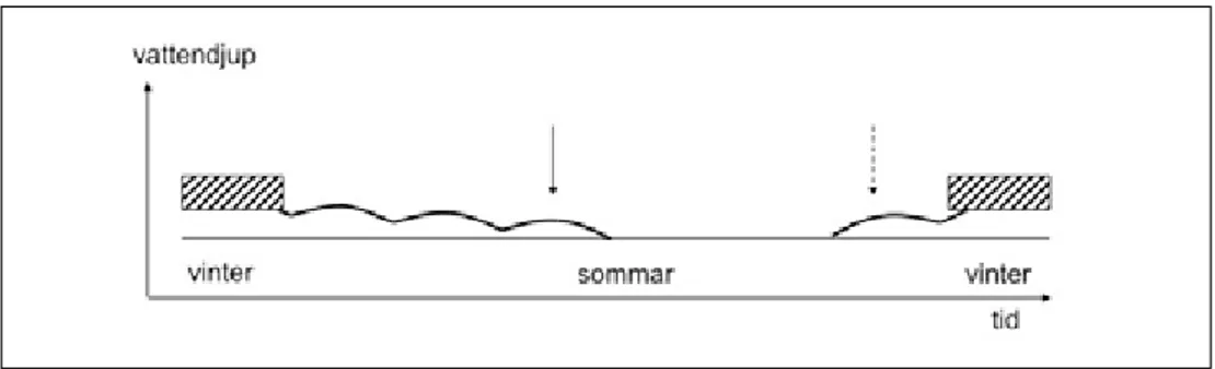 Figur 9. Modell för förekomst av vinterannuell form av trubbrufse. Det horisontella strecket symbo- symbo-liserar bottnen som trubbrufse gror på, de streckade balkarna is och den vågade linjen vattenytan