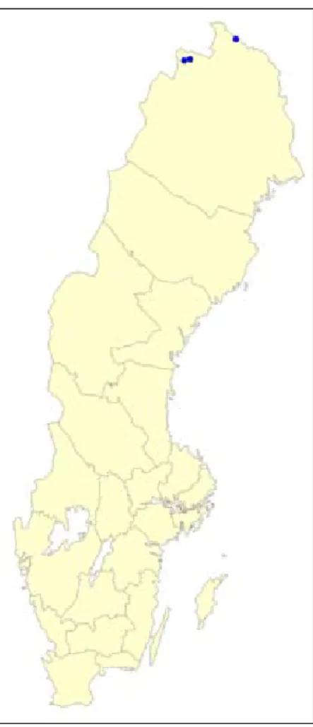 Figur 4. Fjällrufsets aktuella lokaler (fynd mellan 1980 och 2006) i Sverige. Källa: ArtDatabanken.