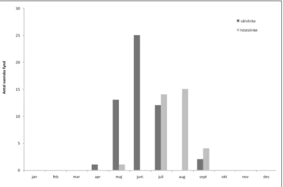 Figur 9. Fördelning av svenska herbariefynd för vårslinke och höstslinke efter insamlingsmånad