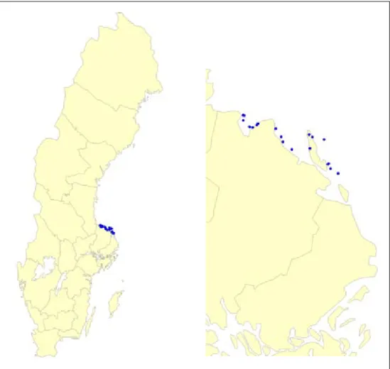 Figur 4. Tuvsträfsets aktuella lokaler (fynd mellan 1980 och 2006) i Sverige. Till vänster översikts- översikts-karta, till höger detaljkarta (Uppsala läns kustområde)