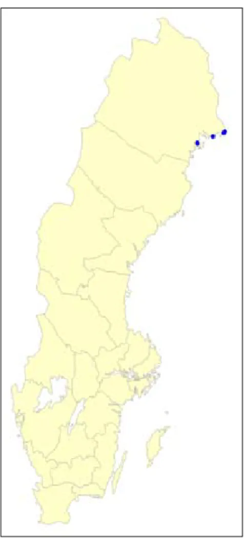 Figur 5. Barklöst sträfses aktuella lokaler (fynd mellan 1980 och 2006)  i Sverige. Källa: ArtData- ArtData-banken.