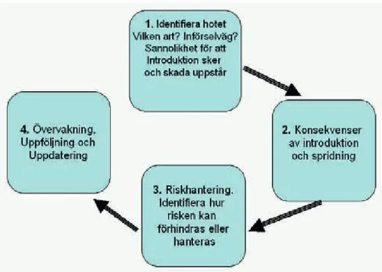 Figur C1. Riskanalysprocessen. Riskanalysen består av: 1.riskidentifiering - att identifiera risken  och konsekvenserna, 2