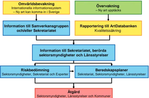 Figur 4. Hur informationsflödet kan se ut i ett varnings- och responssystem och förslag på vem  ska agera och när