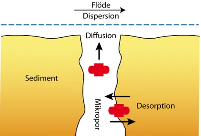 Figur 3.3 Schematisk bild av desorptionsprocesser från mikroporer i den fasta   matrisen till makroflöden i grund- eller ytvatten (modifierad från NRC, 2003)