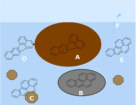 Figur 4. Fördelning av PAHer i jorden.  A= absorberad in i organiskt material, B= i fri organisk   fas t.ex