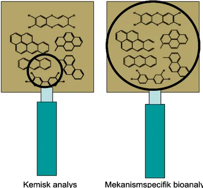 Figur 1. Illustration av skillnaden mellan kemisk analys och mekanismspecifik bioanalys av jord- jord-prover