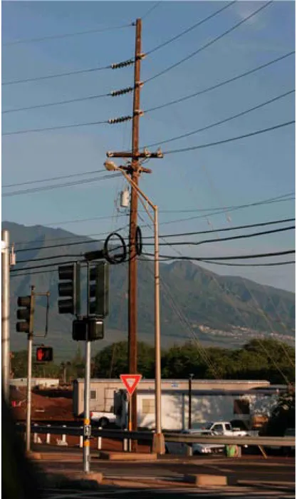 Figur 5. Kraftledningsstolpe i USA (Pi’ilani Hwy, Maui) impregnerad med pentaklorfenol