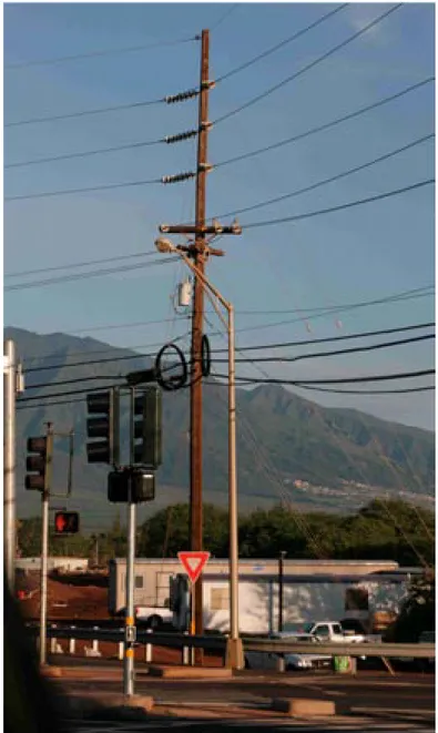 Figure 5. A utility pole in the USA (Pi’ilani Hwy, Maui) treated with pentachlorophenol (Foto:  Tomas Jermer).