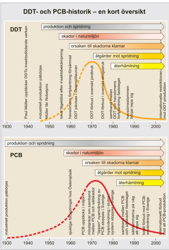 Figur 4. Diagrammen återger händelseutvecklingen med DDT och PCB i korta drag, med fokus på  vad som hänt i Sverige och Östersjön