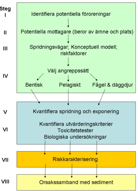 Figur 4. Övergripande strategi för riskbedömning av förorenade sediment. Steg I-IV motsvarar  problembeskrivning och steg V och VI motsvarar exponerings- och effektanalys