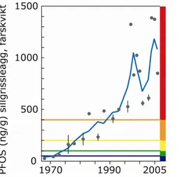Figur 5. Halten av PFOS i sillgrissleägg har ökat kraftigt (25 – 30 gånger) sedan början av 70-talet