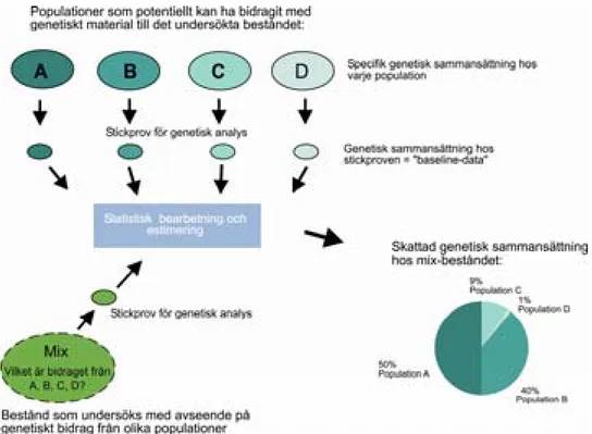 Figur 9. Schematisk skiss över det angreppsätt som vi här förslår kan användas för att bestämma 