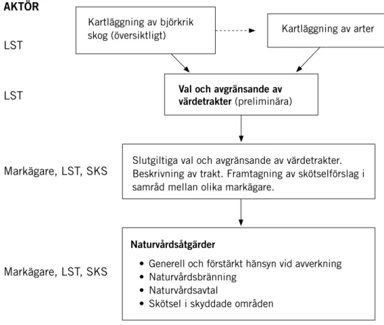 Figur 9. Arbetssätt för att bevara naturvärden knutna till björk. Länsstyrelser bör ha ansvar för att  ta fram underlag samt för att preliminärt välja och avgränsa värdetrakter