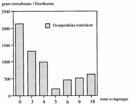 Figur 2. Produktion av åkertistelskott i vårvete efter behandling med olika antal avslagningar i  rödklövervall året innan