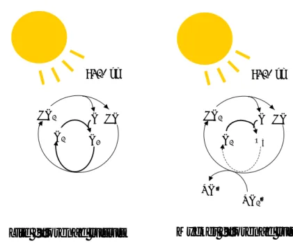 Figur 1. Illustration av några av de kemiska reaktioner som ger upphov till ozonbildning, i förhållandevis lite  förorenad luft samt i mycket förorenad luft