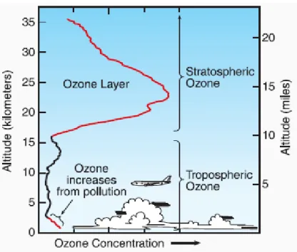 Figur 5.1  Profil av ozon i atmosfären upp till 35 kilometer (Källa: Twenty Questions and Answers  About the Ozone Layer: 2006 Update, UNEP) 