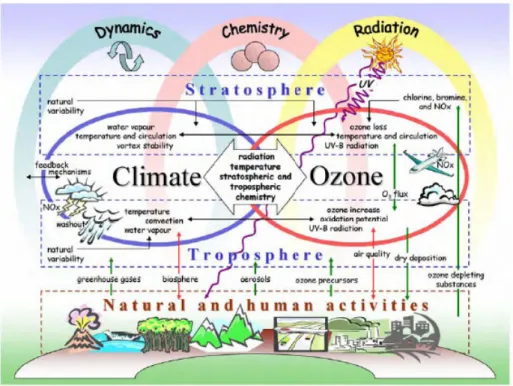 Figur 5.7 Schematisk bild över kopplingarna mellan klimatförändringar och ozonskiktet (Källa:  Environmental Effects of Ozone Depletion and its Interactions with Climate Change: 2006  As-sessment, UNEP) 