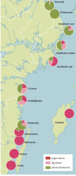 figur  10.1  Torsk och torskfiske i Kattegatt