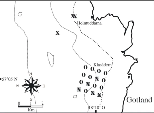 Figur 1. Klasåderns planerade vindkraftpark på sydvästra Gotland. X markerar platser för vår 