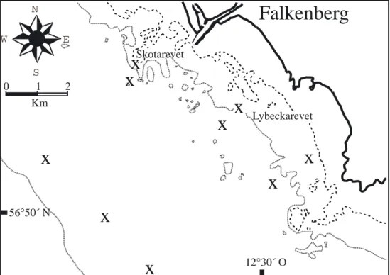Figur 5. Skotarevet utanför Falkenberg i mellersta Kattegatt. X markerar platser för vår provtag-