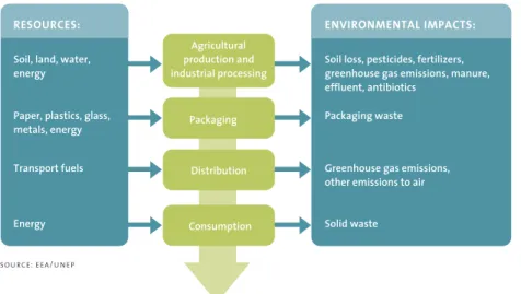 fig. b. 1  Environmental impacts of food consumption