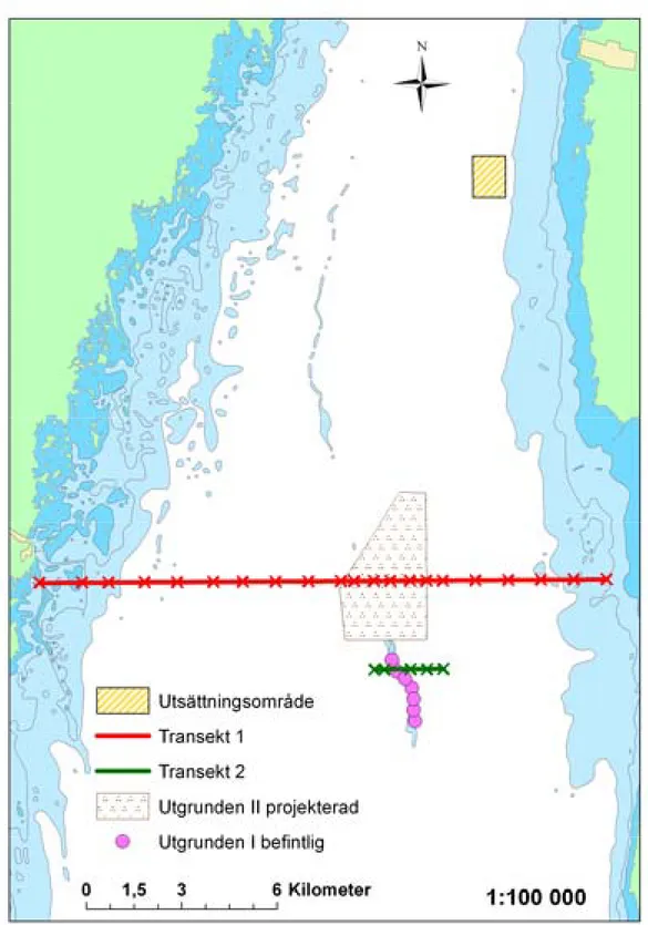 Figur 2. Översiktskarta med utsättningsplatsen och hydrofonbojarnas placering i Kalmarsund