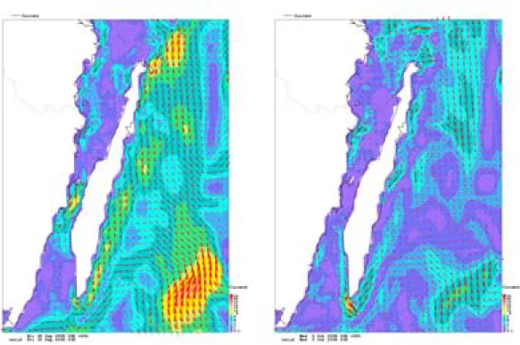 Figur 9. Havsströmmarna i Ölandsområdet från SMHI:s modellering. Den vänstra kartan visar  förhållandena natten efter den 29 september med måttlig nordgående ström och den högra natten  efter den 4 oktober, med svag sydgående ström