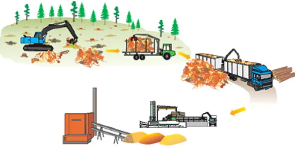 Figur 7. Illustration över arbetsgången då avverkningsstubbar tas ut som skogsbränsle i Finland  (bilden är hämtad ur Hakkila &amp; Aarniala 2004