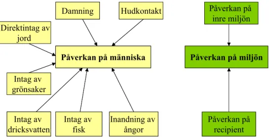 Figur 2.1 Exponeringsvägar till människa och miljö enligt Naturvårdverket (1996). 