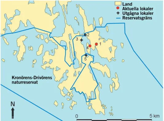 Fig. 1. Ishavshästsvansen förekommer i några vikar inom Kronören-Drivörens naturreservat i Nordmalings kommun, Västerbottens län i landskapet Ångermanland