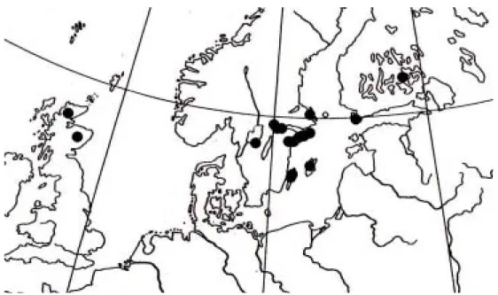 Figur 2. Vit stjälkröksvamp,  Tulostoma niveum Kers. Världsutbredning
