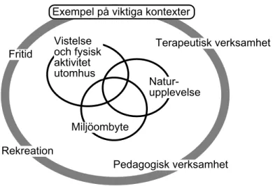 Fig. 2:1. Några av friluftslivets centrala komponenter och värden liksom några exempel på i vilka kontexter detta  blir aktuellt (gjord med utgångspunkt i den norska definitionen av friluftsliv; se t.ex