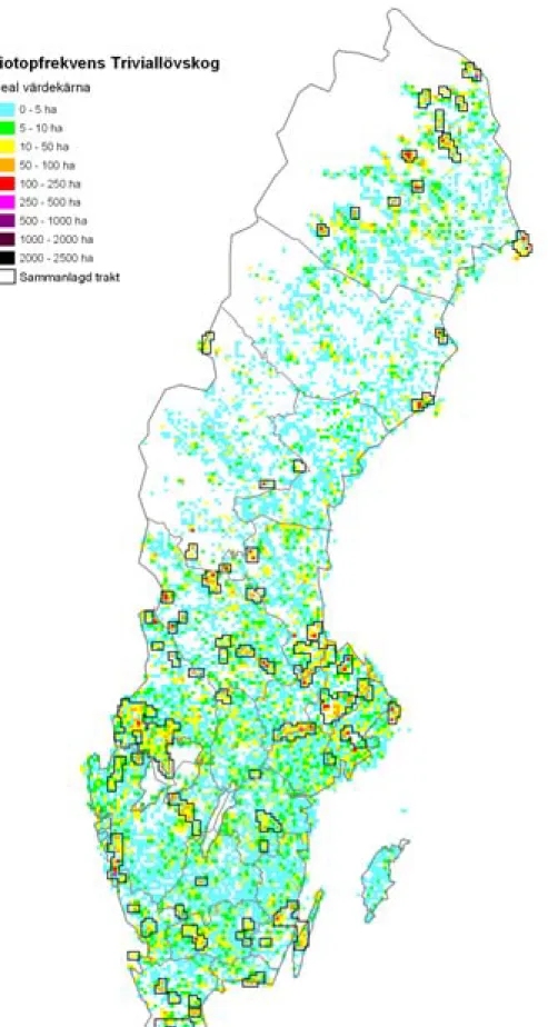 Figur 6.36 Areal värdekärna inom triviallövskog per ekoruta och förslag till värdetrakter för  skogstypen