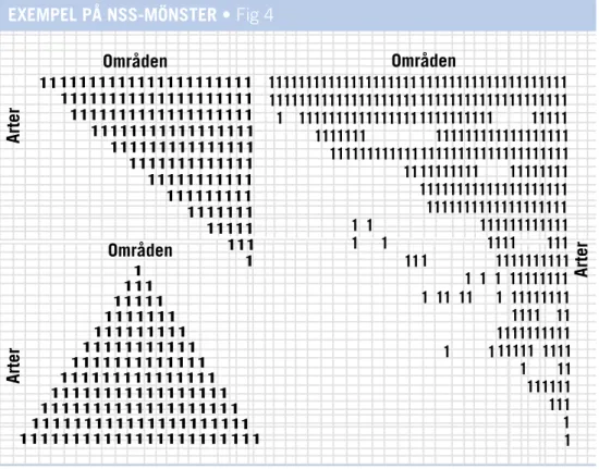 FIG 4: Exempel på NSS-mönster