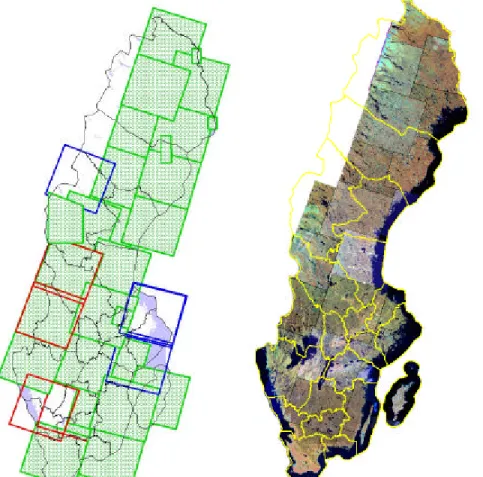 Figur 1. Gröna scener är registrerade i juli eller augusti, röda i september och blå i juni