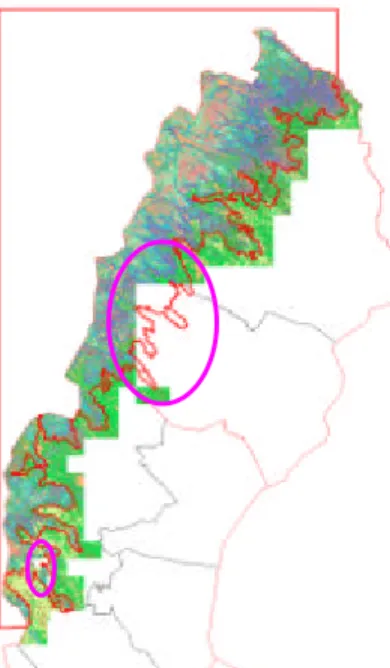 Figur 4. Områden som kompletterats från satellitdata ovanför fjällnära gränsen är markerade i 