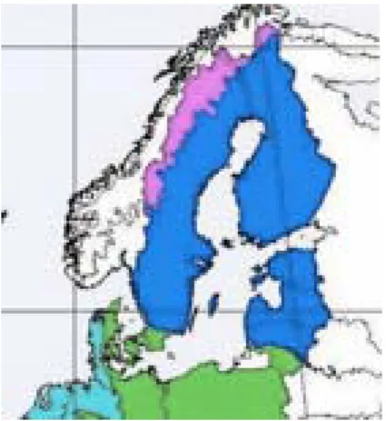 Figur 6. Biogeografisk regionindelning i Natura 2000-nätverket. De biogeografiska regioner som  finns i Sverige utgörs av kontinental (grön), boreal (blå) och alpin (lila) region