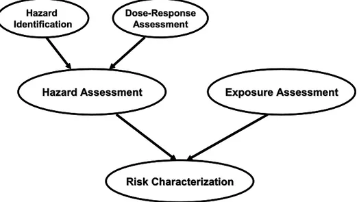 Figure 1.  Illustration of the Risk Assessment paradigm 