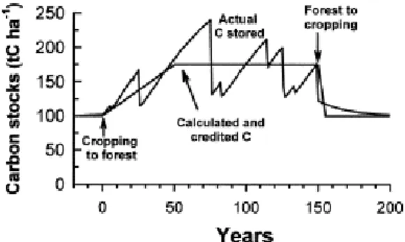 Fig. 3. Example of a production forest established on former agricultural land, subject to a series of  disturbances, and then converted back to agriculture after 150 years